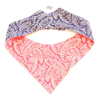 PAISLEY PASSION - DOG BANDANA